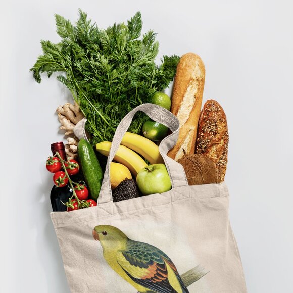 Regent Parrot Vintage Print Graphic Canvas Tote Bag - Picture 4 of 5